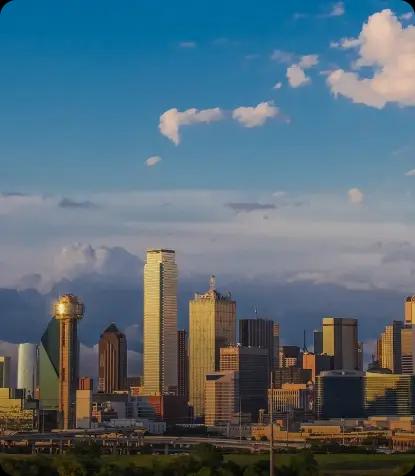 BitsWits mobile app development company Dallas