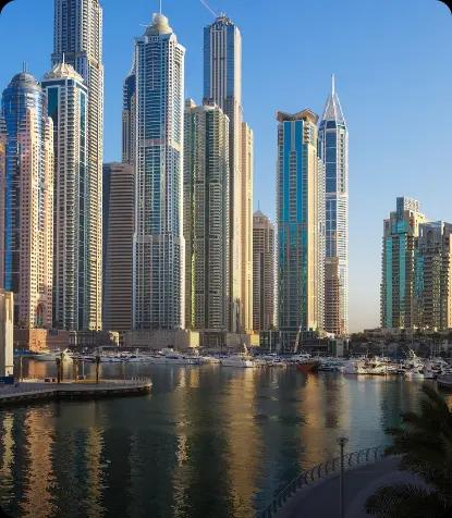 BitsWits mobile app development company Dubai