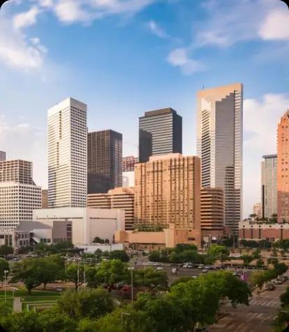 BitsWits mobile app development company Houston