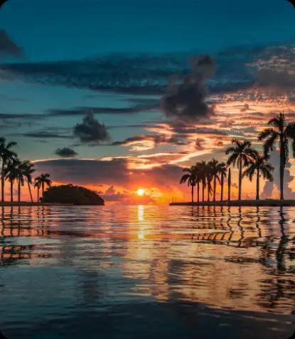 BitsWits mobile app development company Miami
